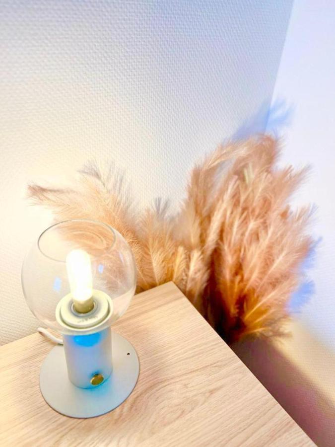 L'Atelier Chic - Wifi Fibre - Parking Privee - Balcon - Netflix Apartment ลาเนสแตร์ ภายนอก รูปภาพ